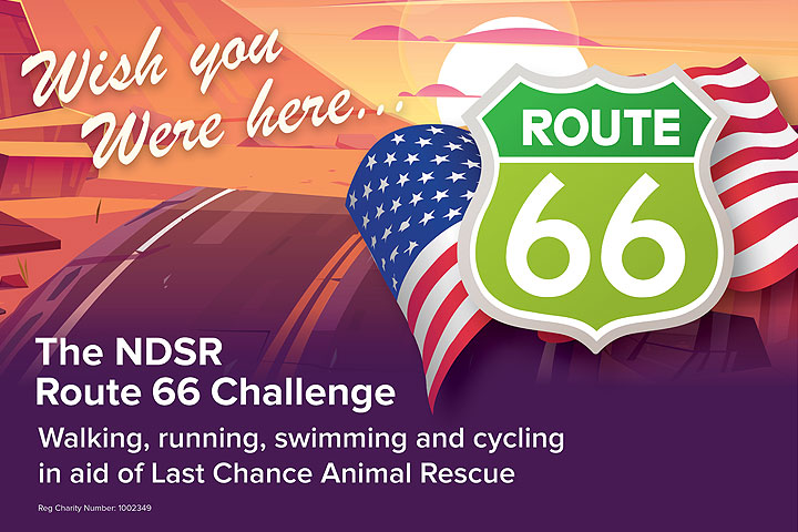 The whole team at NDSR are gearing up to take on the Route 66 virtual challenge this April, all in the name of charity