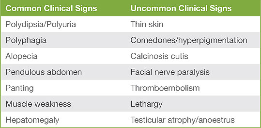 Table 1: Clinical signs of HAC
