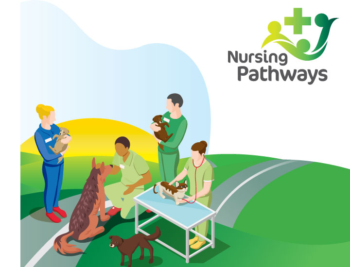 Nursing Pathways - Exciting Opportunity for Registered Veterinary Nurses