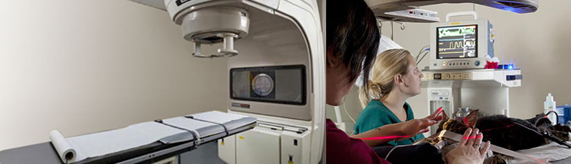 Radiotherapy in Veterinary Patients
