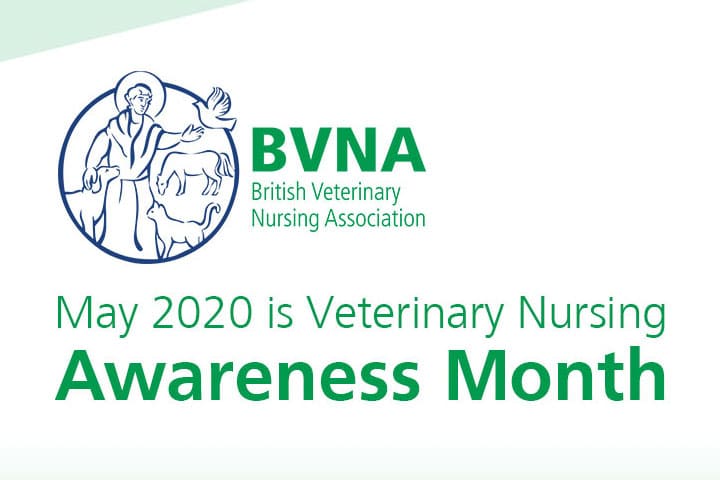 nurse-awareness-month-2020