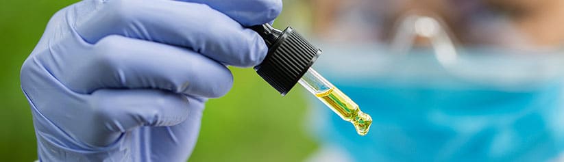 CBD oil for dogs in pipette in front of a vet