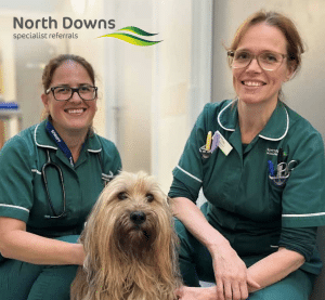 North downs specialists - team members with dog