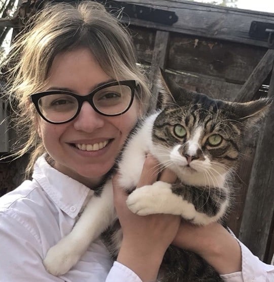 cat being cuddled by female