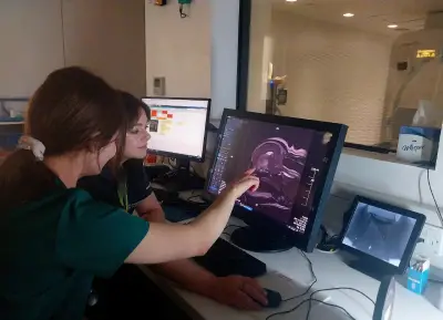MRI image on a screen being looked at